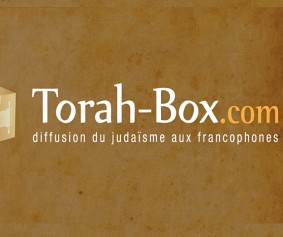 Torah-Box_logo