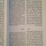 Torah Actions & Gueoula